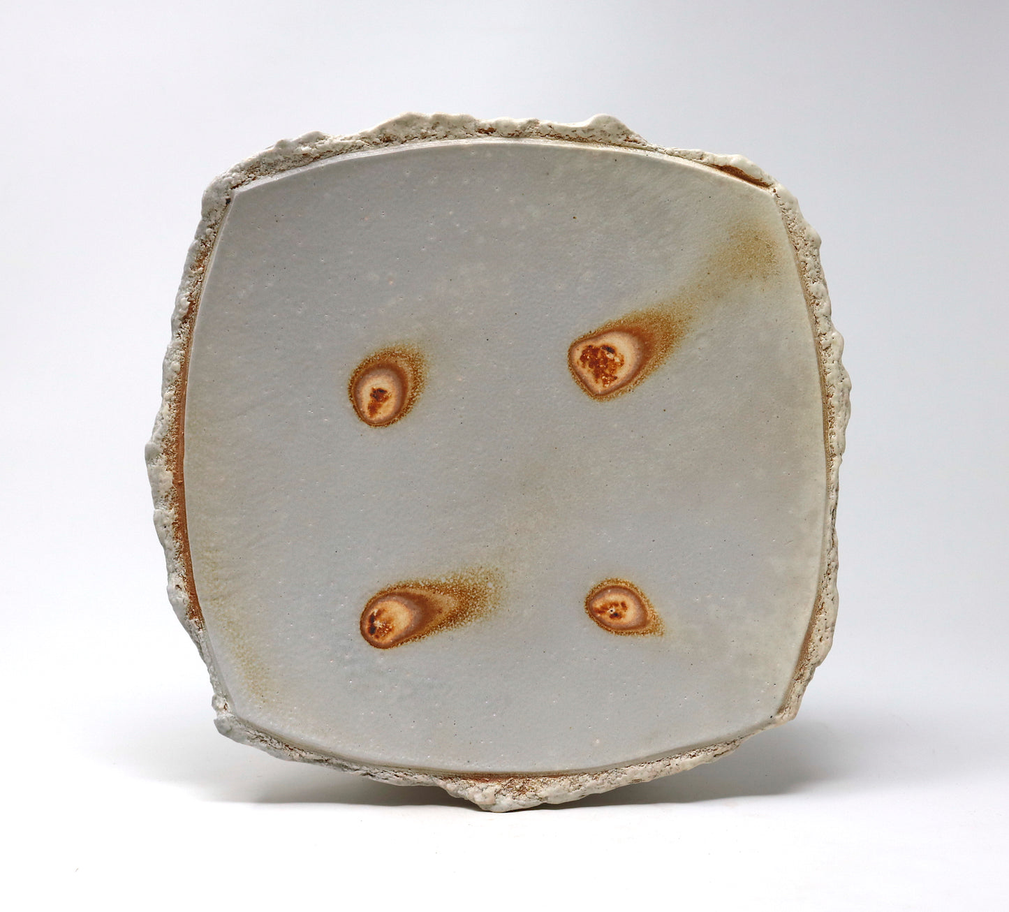 Dinner Plate